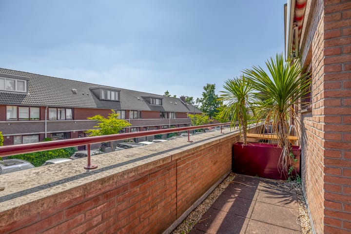 Foto 20 van Wengéhout 22