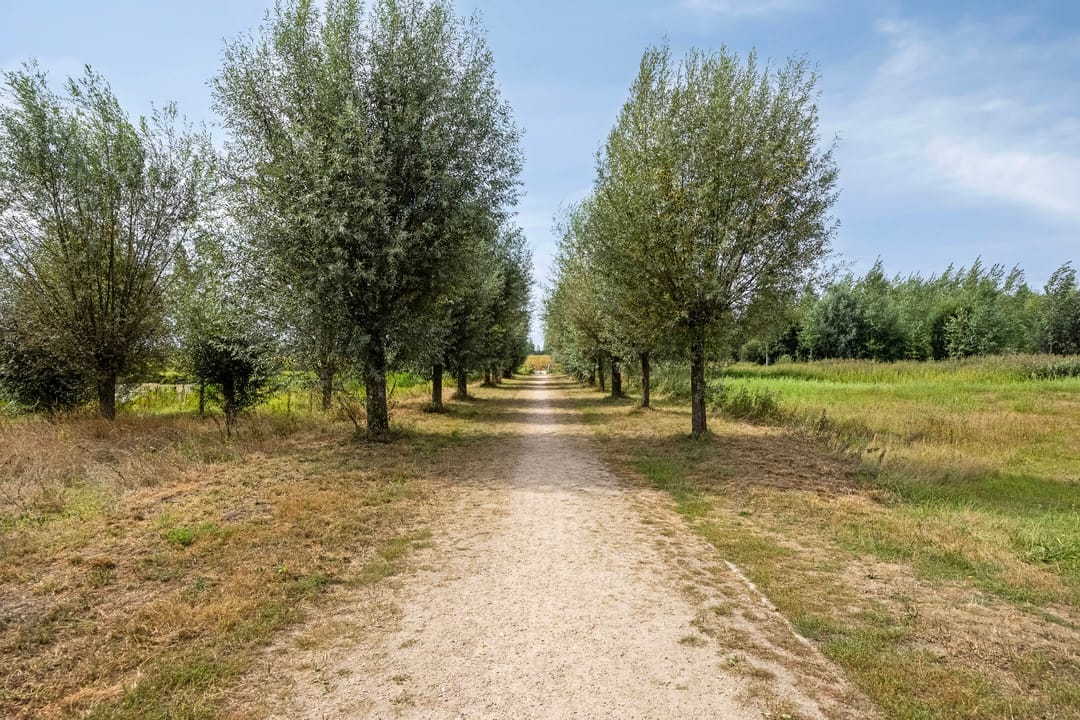 Photo 56 of Trombonestraat 6