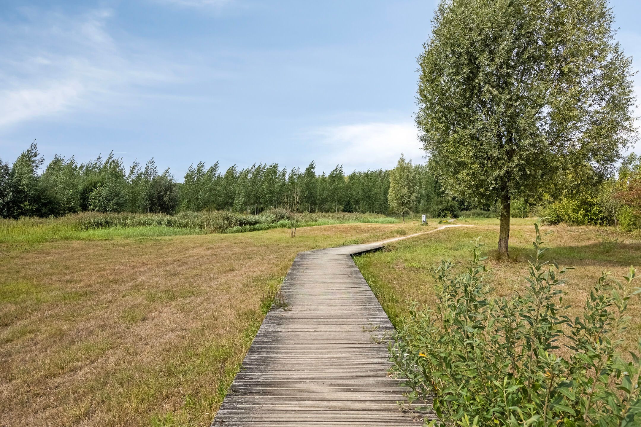 Photo 57 of Trombonestraat 6