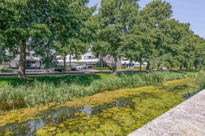 Foto 40 van Wengéhout 22