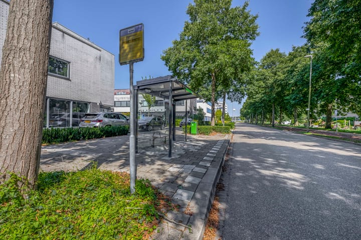 Foto 41 van Wengéhout 22