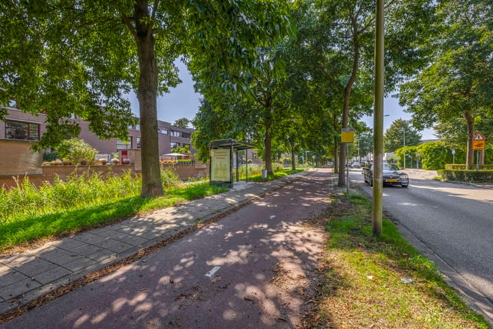 Foto 42 van Wengéhout 22