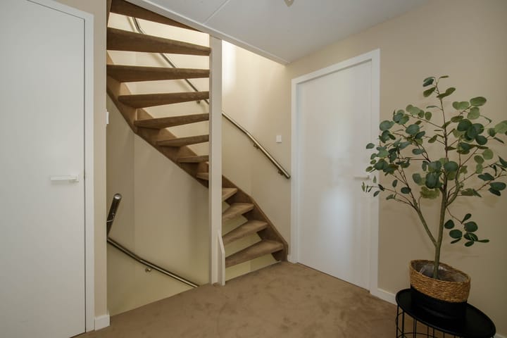 Foto 17 van Vrouwenmantel 21