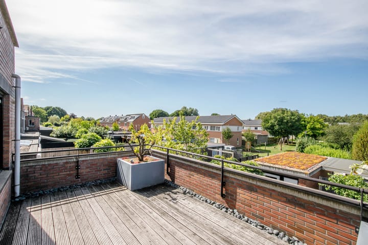 Foto 21 van Vrouwenmantel 21