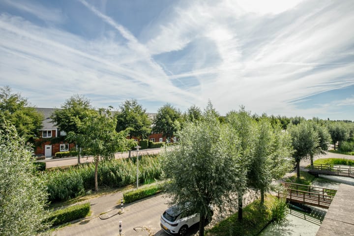 Foto 37 van Vrouwenmantel 21