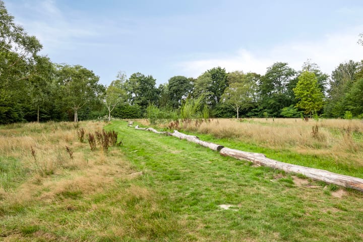 Foto 42 van Rode Kruislaan 5