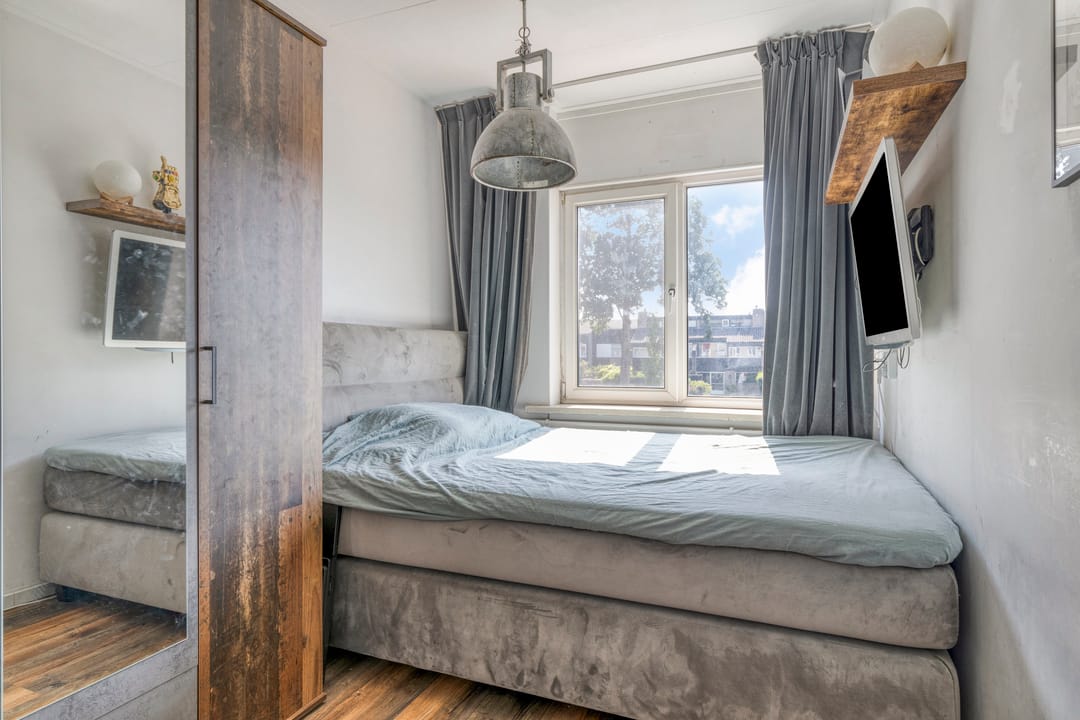 Foto 31 van Lupine 8