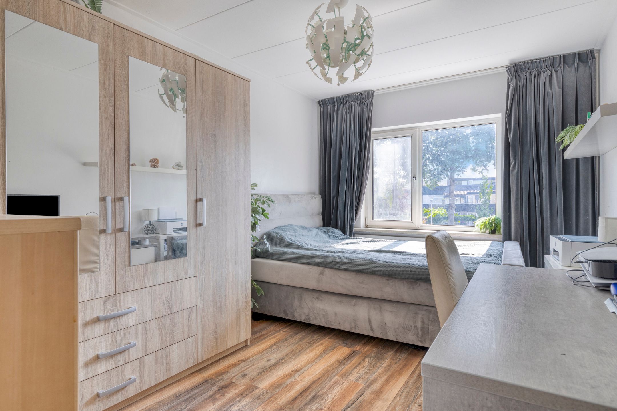 Foto 33 van Lupine 8