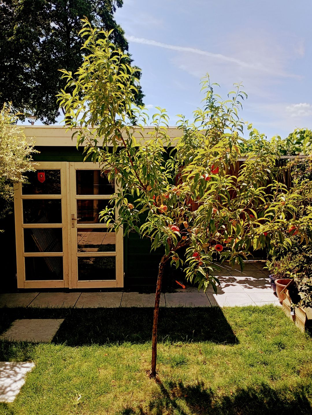 Foto 37 van Lupine 8