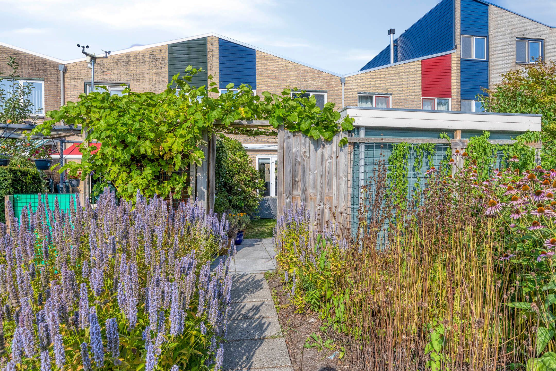 Foto 42 van Lupine 8