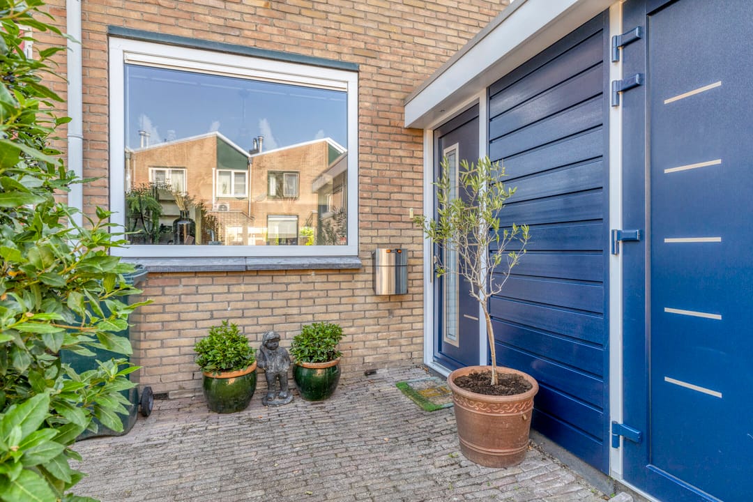 Foto 43 van Lupine 8