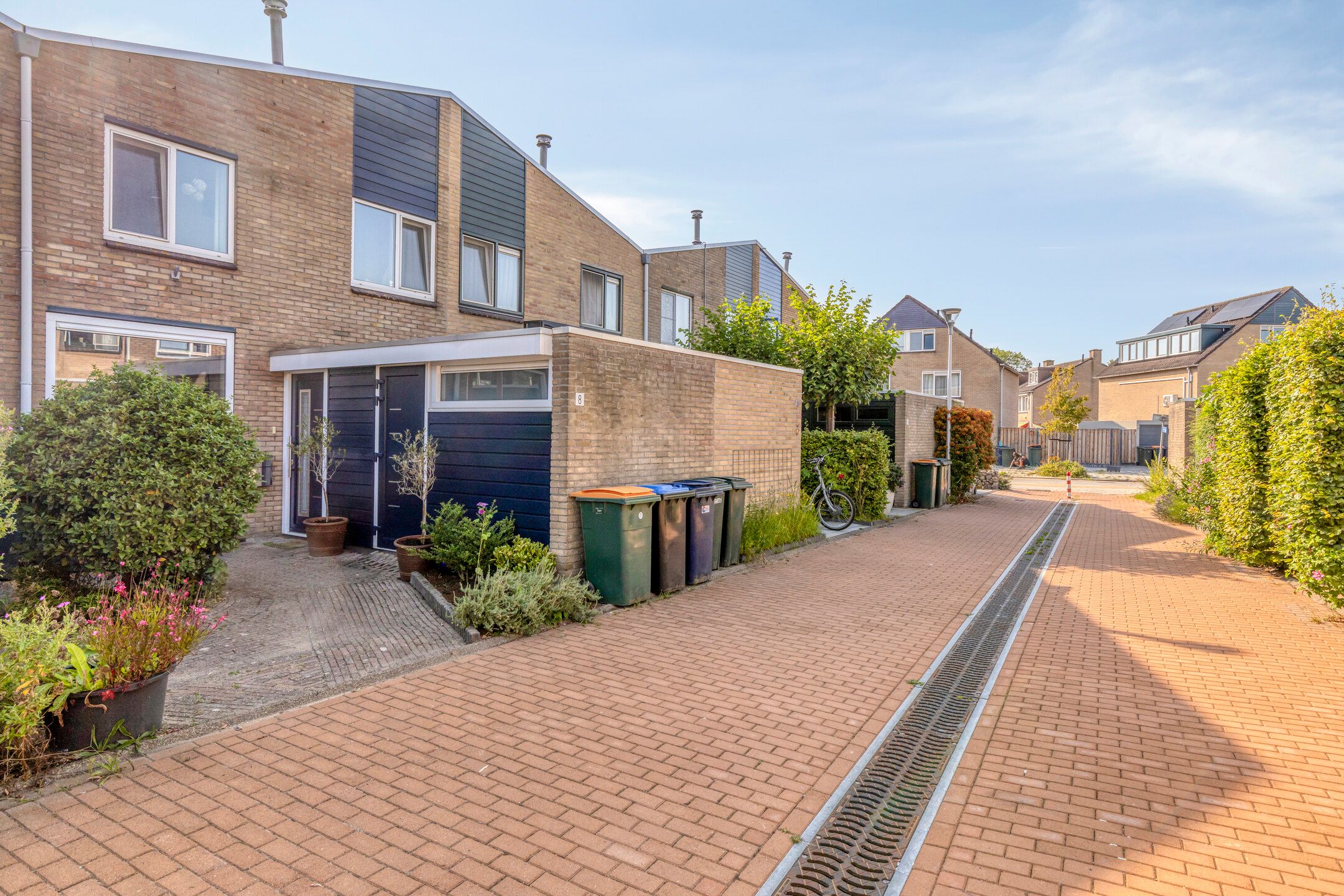 Foto 45 van Lupine 8