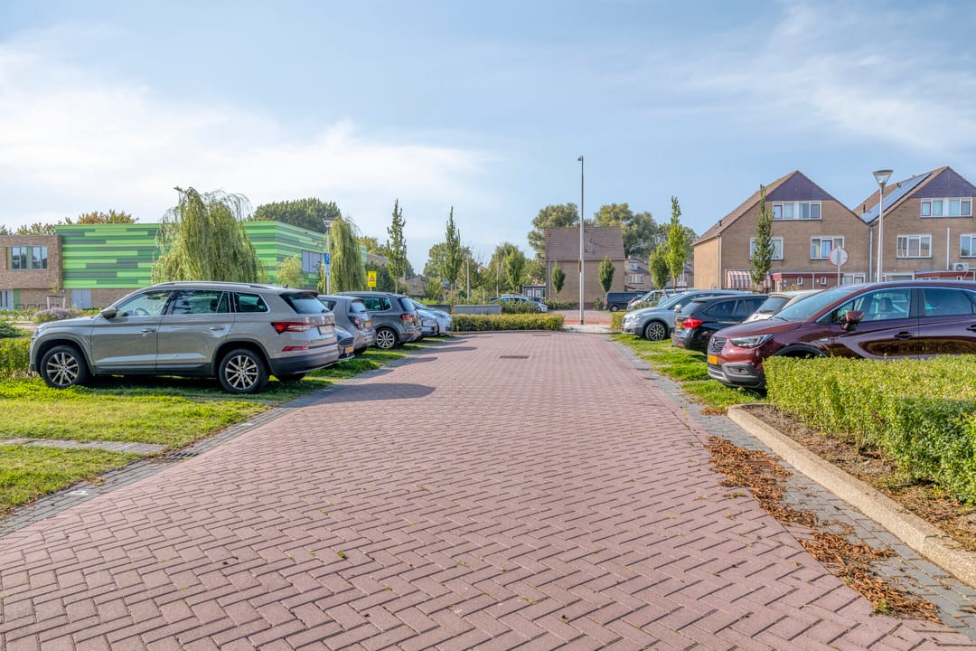 Foto 47 van Lupine 8