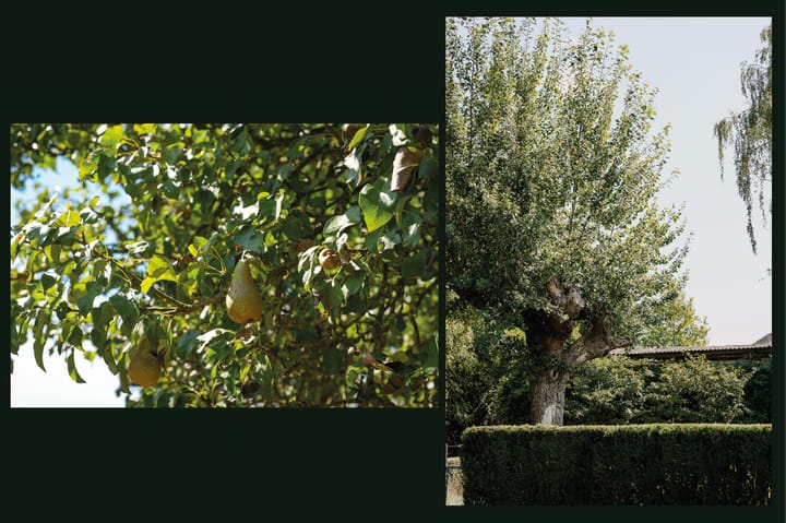 Photo 52 of Broekweg 6