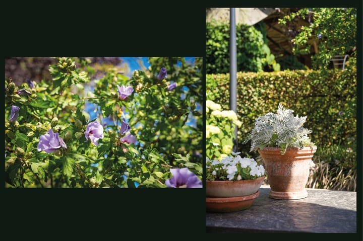 Photo 54 of Broekweg 6