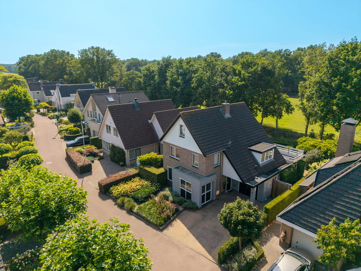 Foto 52 van Betje Wolfflaan 6