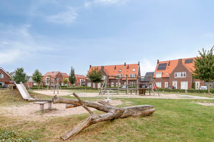 Foto 38 van Kleine Vuurvlinder 33