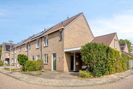 undefined main image