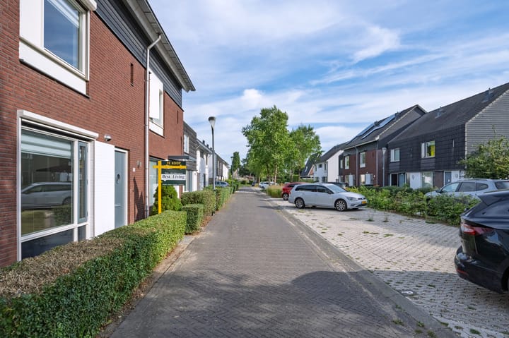 Photo 4 of Rogacker 20