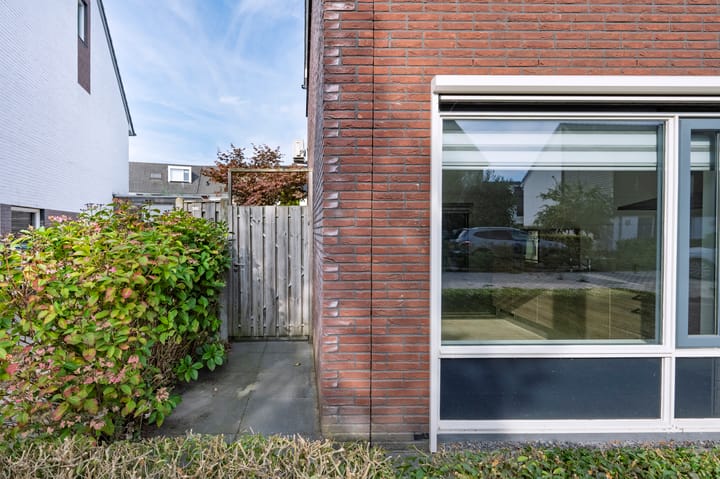 Photo 5 of Rogacker 20