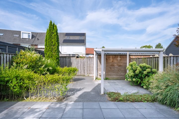 Photo 6 of Rogacker 20