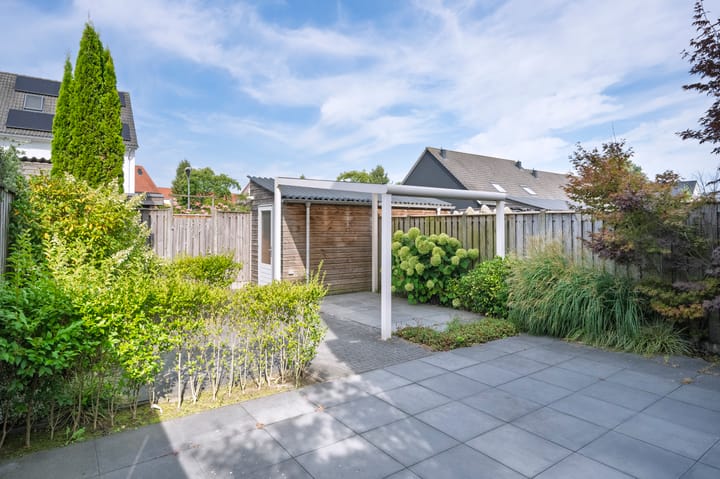 Photo 7 of Rogacker 20