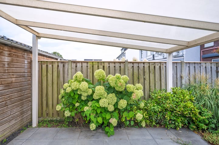 Photo 9 of Rogacker 20