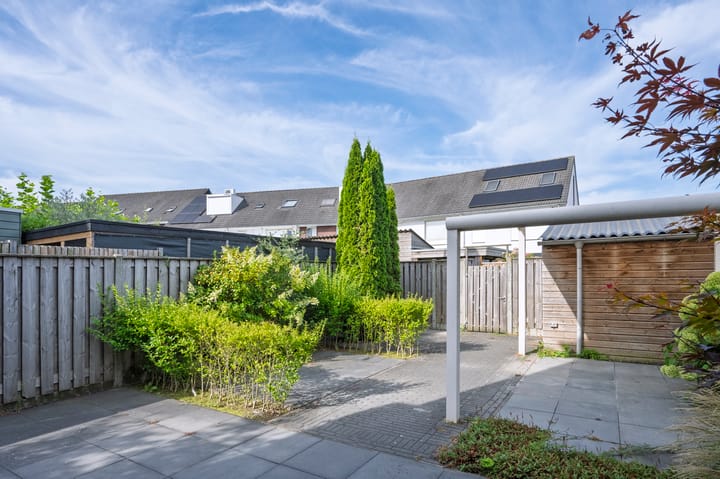 Photo 10 of Rogacker 20