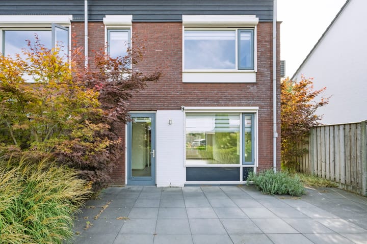 Photo 11 of Rogacker 20