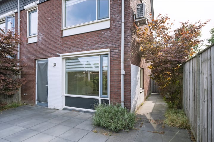 Photo 8 of Rogacker 20