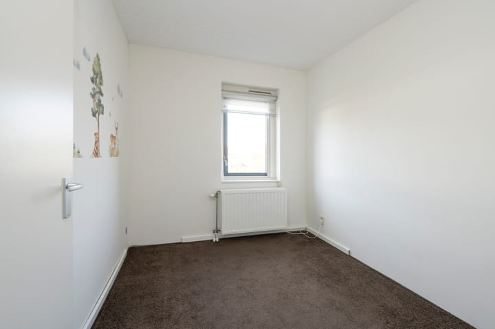 Photo 18 of Rogacker 20