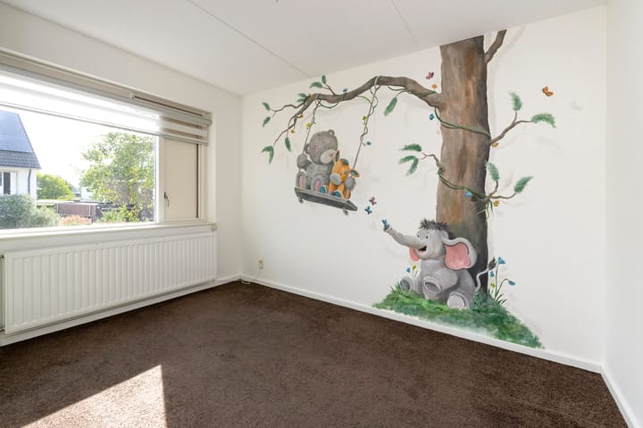 Photo 19 of Rogacker 20