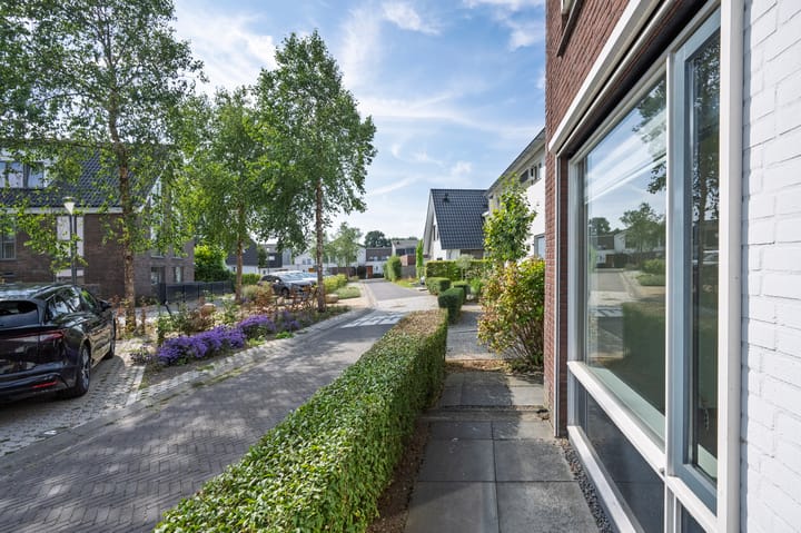 Photo 30 of Rogacker 20