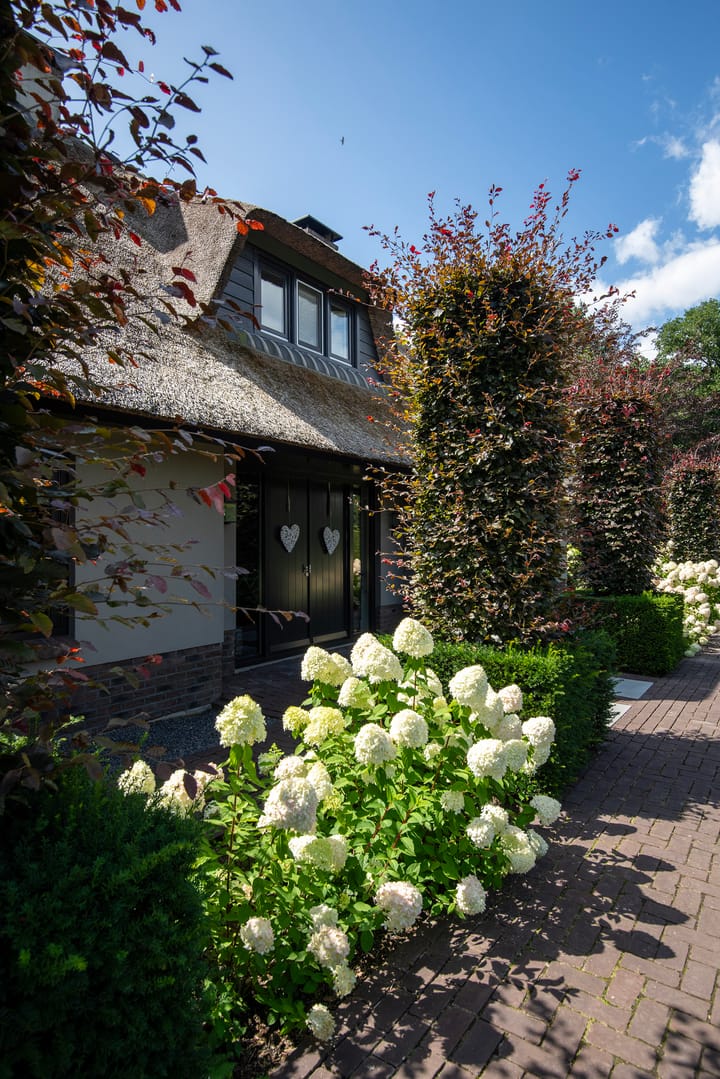 Foto 45 van Telgterweg 26