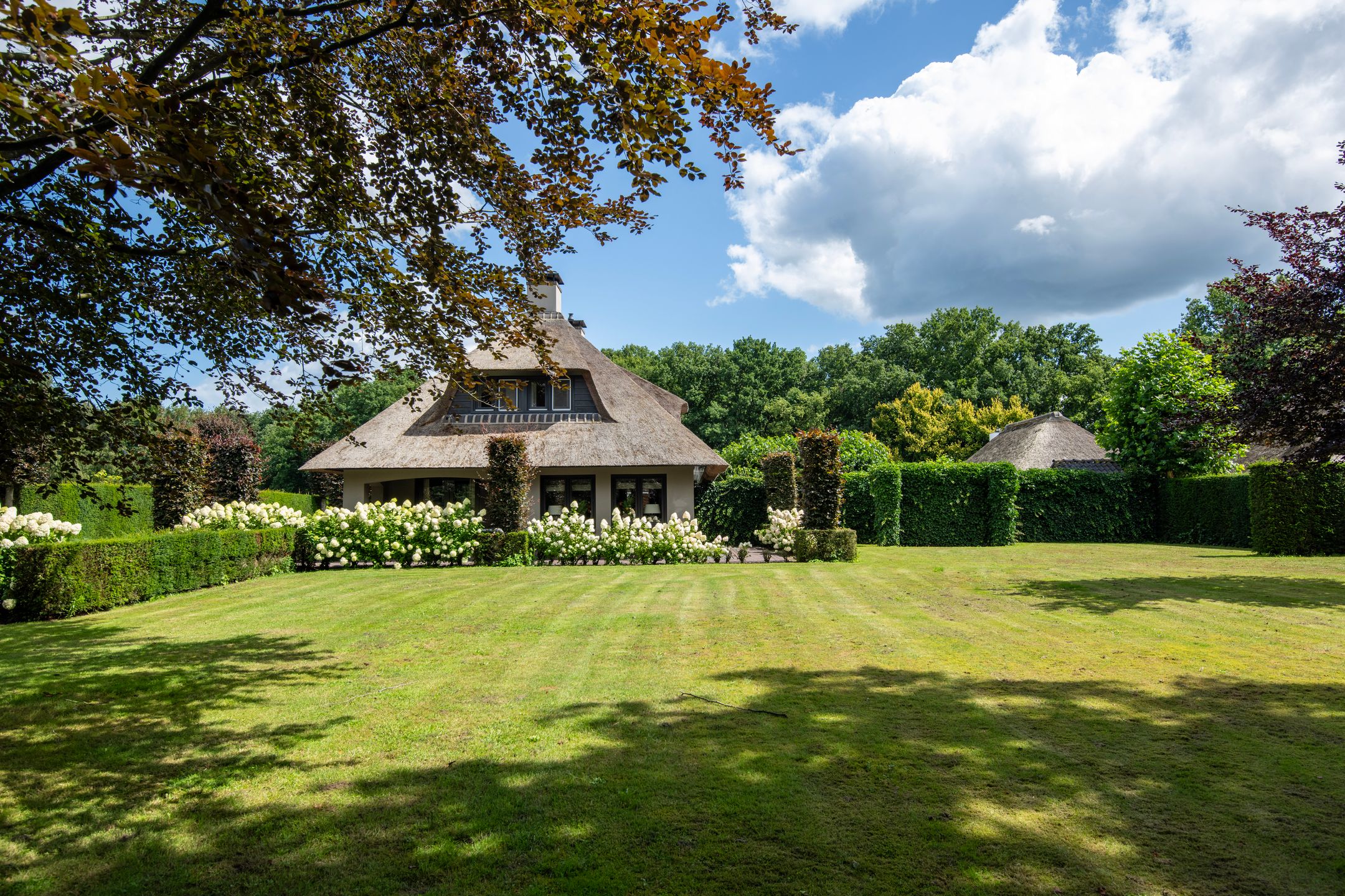 Foto 54 van Telgterweg 26