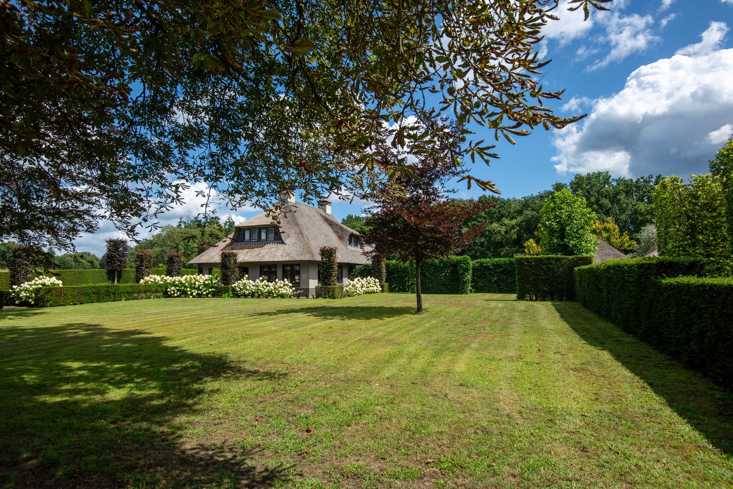 Foto 55 van Telgterweg 26