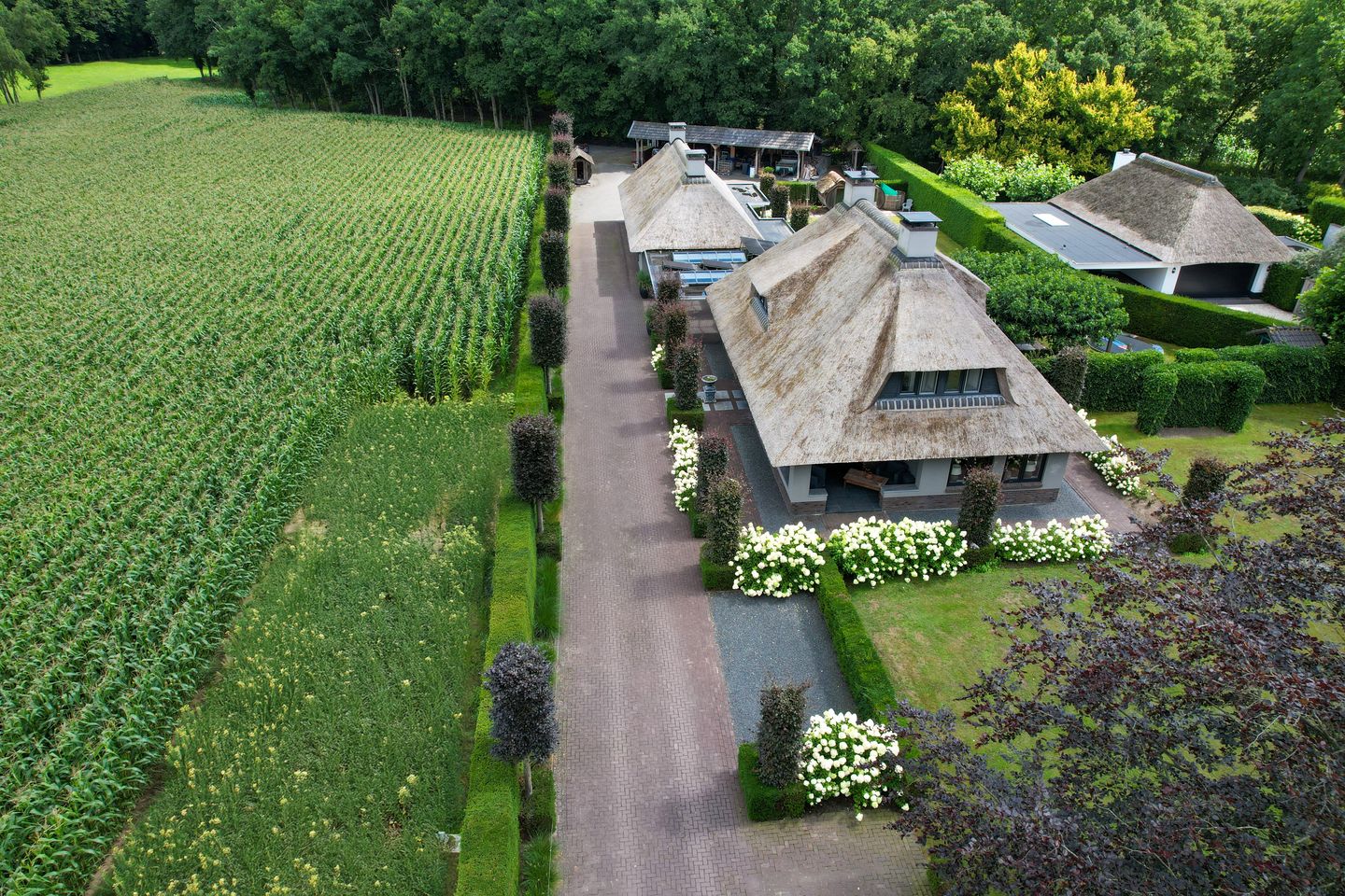 Foto 59 van Telgterweg 26