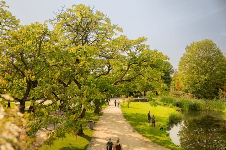 Foto 19 van Cornelis Krusemanstraat 1-C