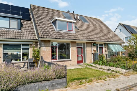 undefined main image