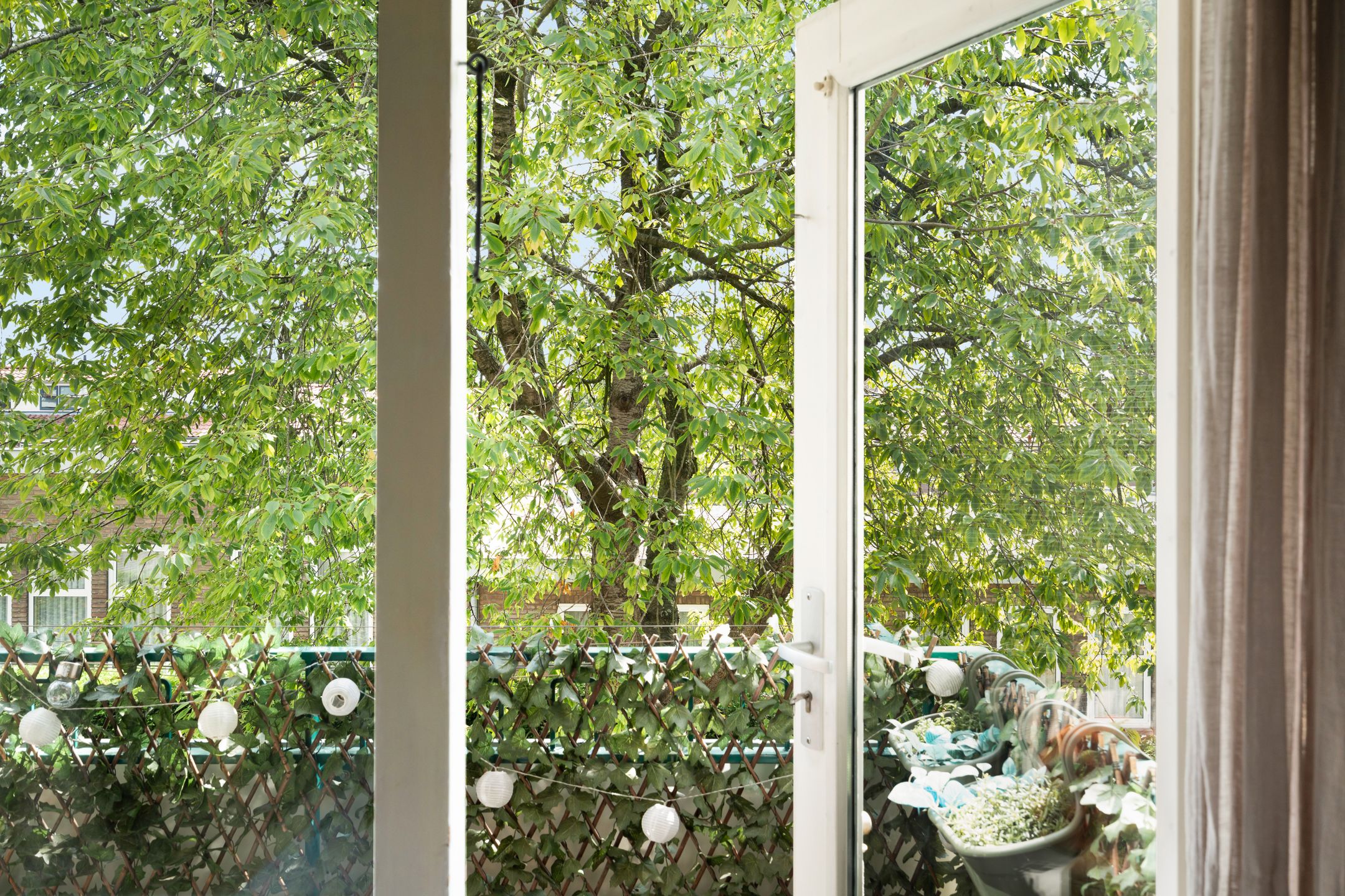 Foto 18 van Mauritsweg 270