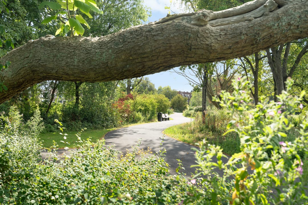 Foto 41 van Mauritsweg 270