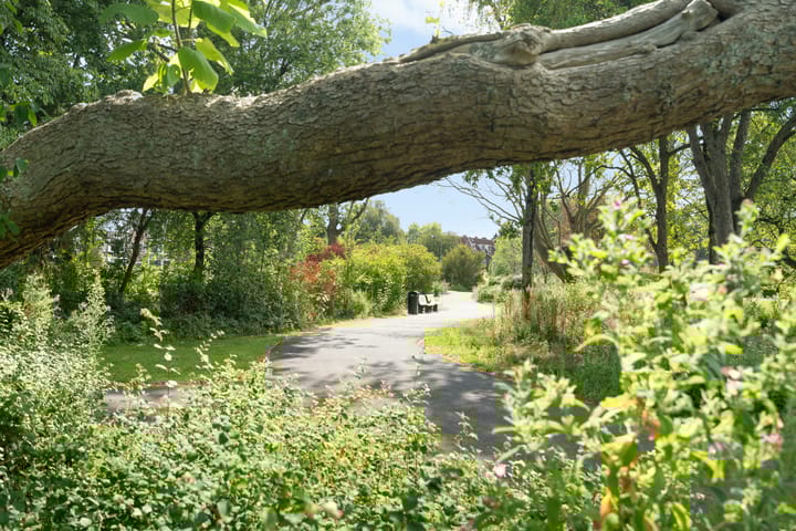 Foto 41 van Mauritsweg 270