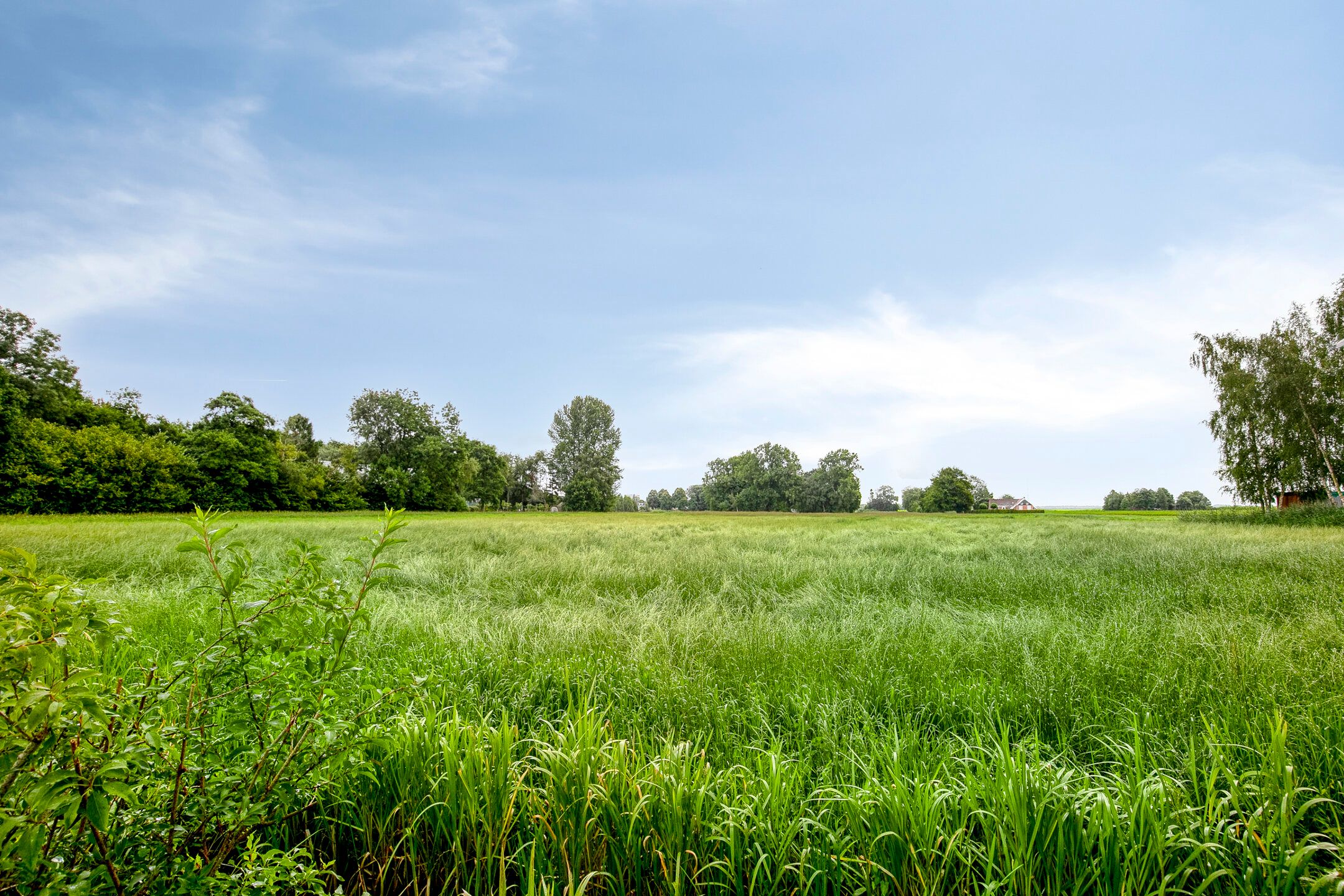 Foto 36 van Woldweg 145-B