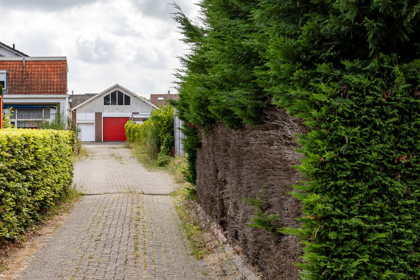 Bekijk foto 4 van Parklaan 134