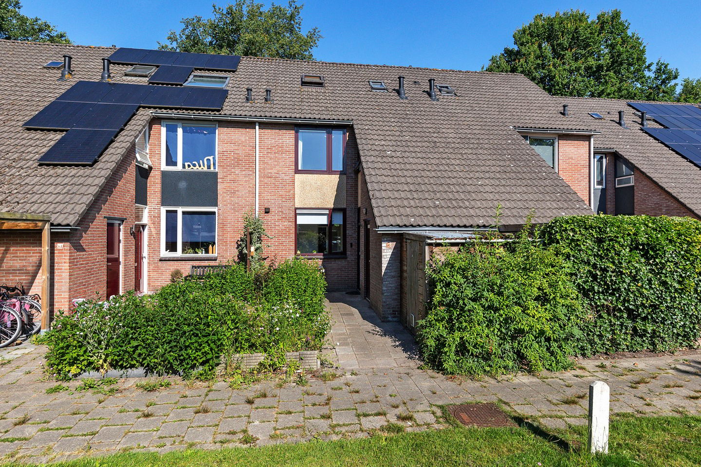 Foto 4 van Dorsvloer 45