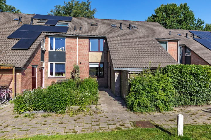 Foto 4 van Dorsvloer 45