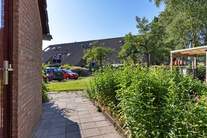 Foto 11 van Dorsvloer 45