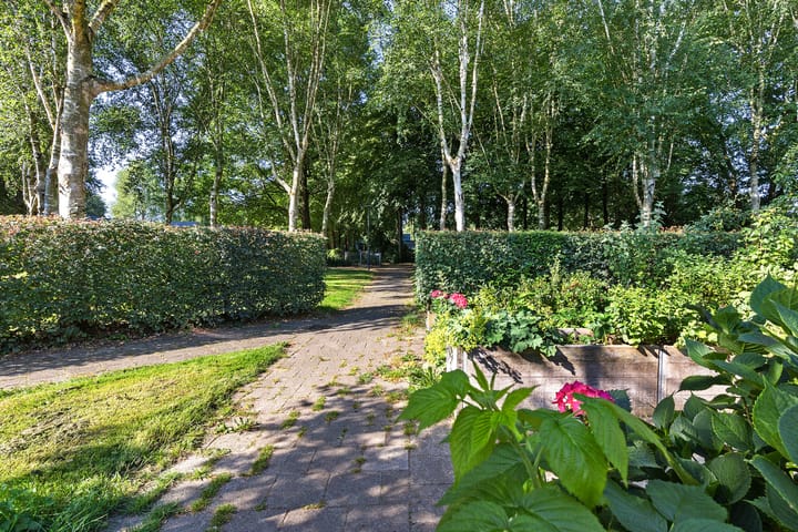 Foto 13 van Dorsvloer 45