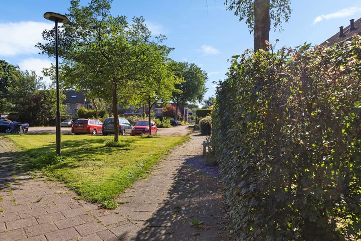 Foto 15 van Dorsvloer 45