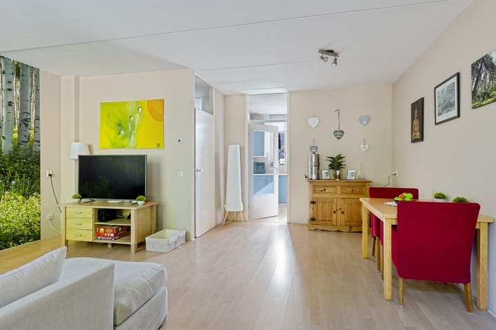 Foto 23 van Dorsvloer 45